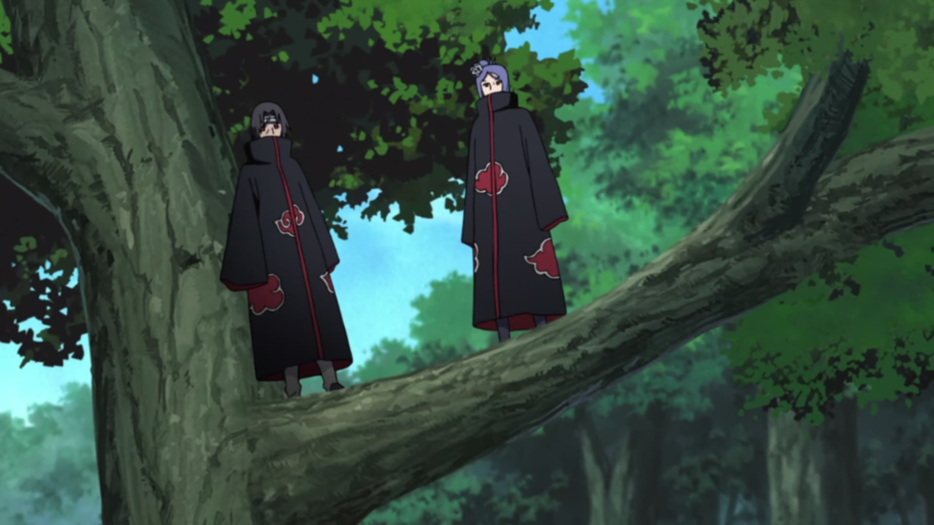Naruto: Shippuden Ep 457: Partner @ 00:16:55