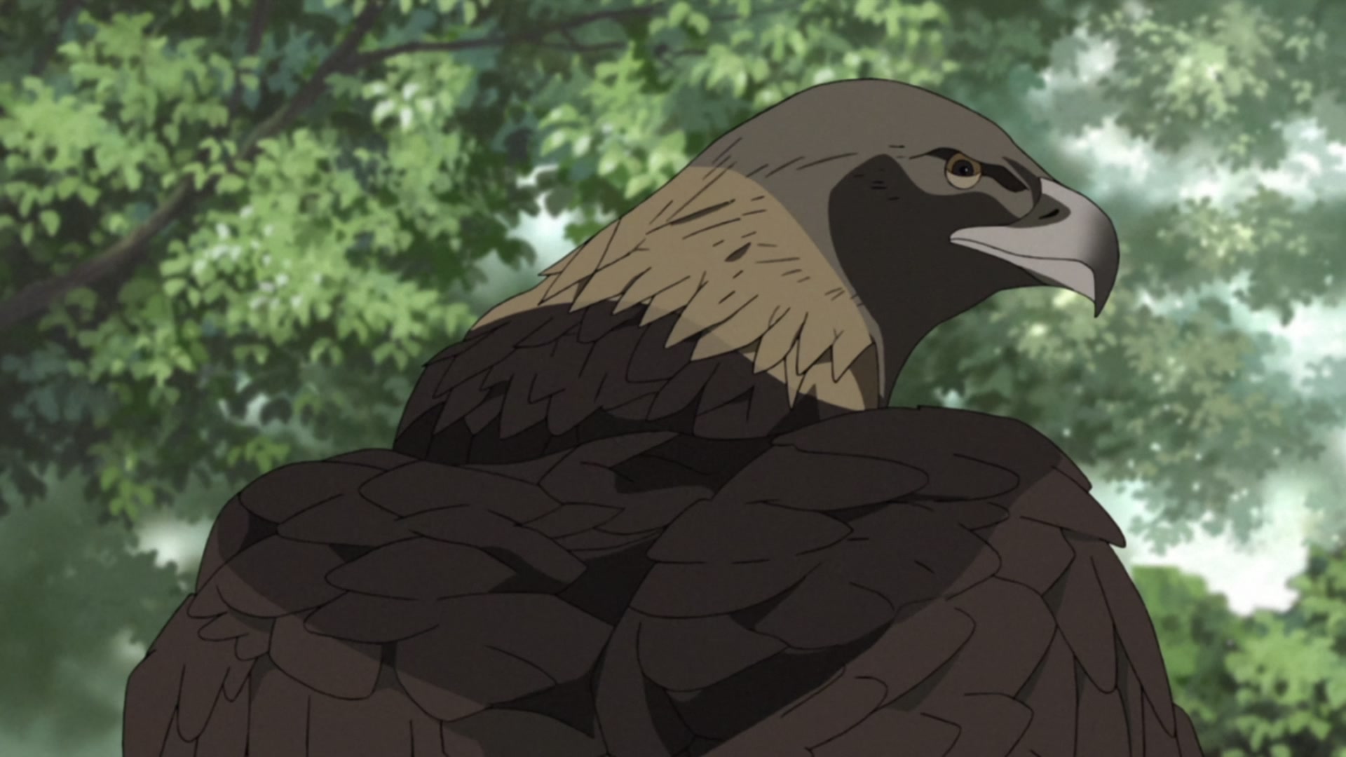 Naruto: Shippuden Ep 480: Naruto and Hinata @ 00:05:59