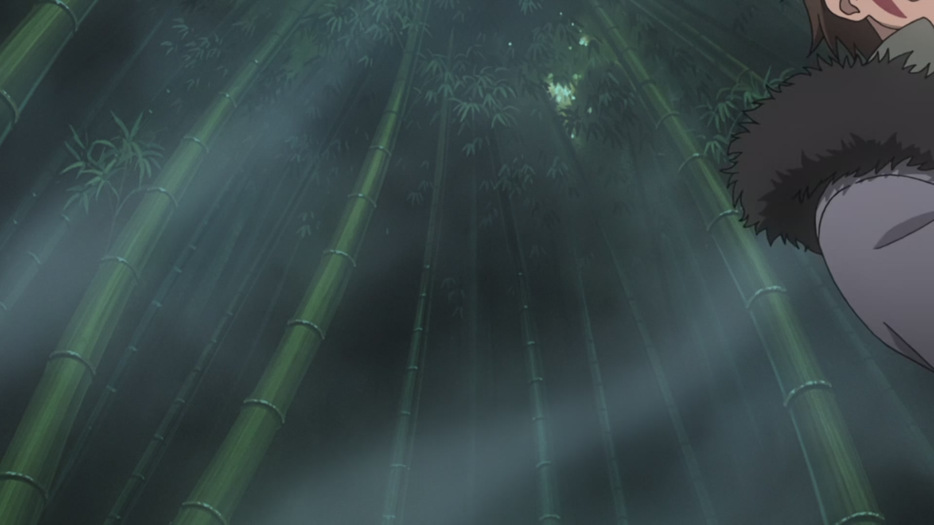 Naruto: Shippuden Ep 498: The Last Mission @ 00:11:10