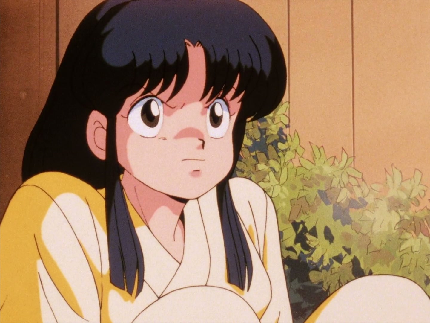 Ranma ½ Ep 6: Akane's Lost Love... These Things Happen, You Know @ 00:20:44