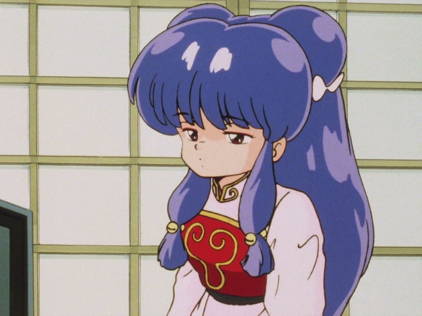 Ranma ½ Ep 15: Enter Shampoo, the Gung-Ho Girl! I Put My Life in Your Hands @ 00:10:54