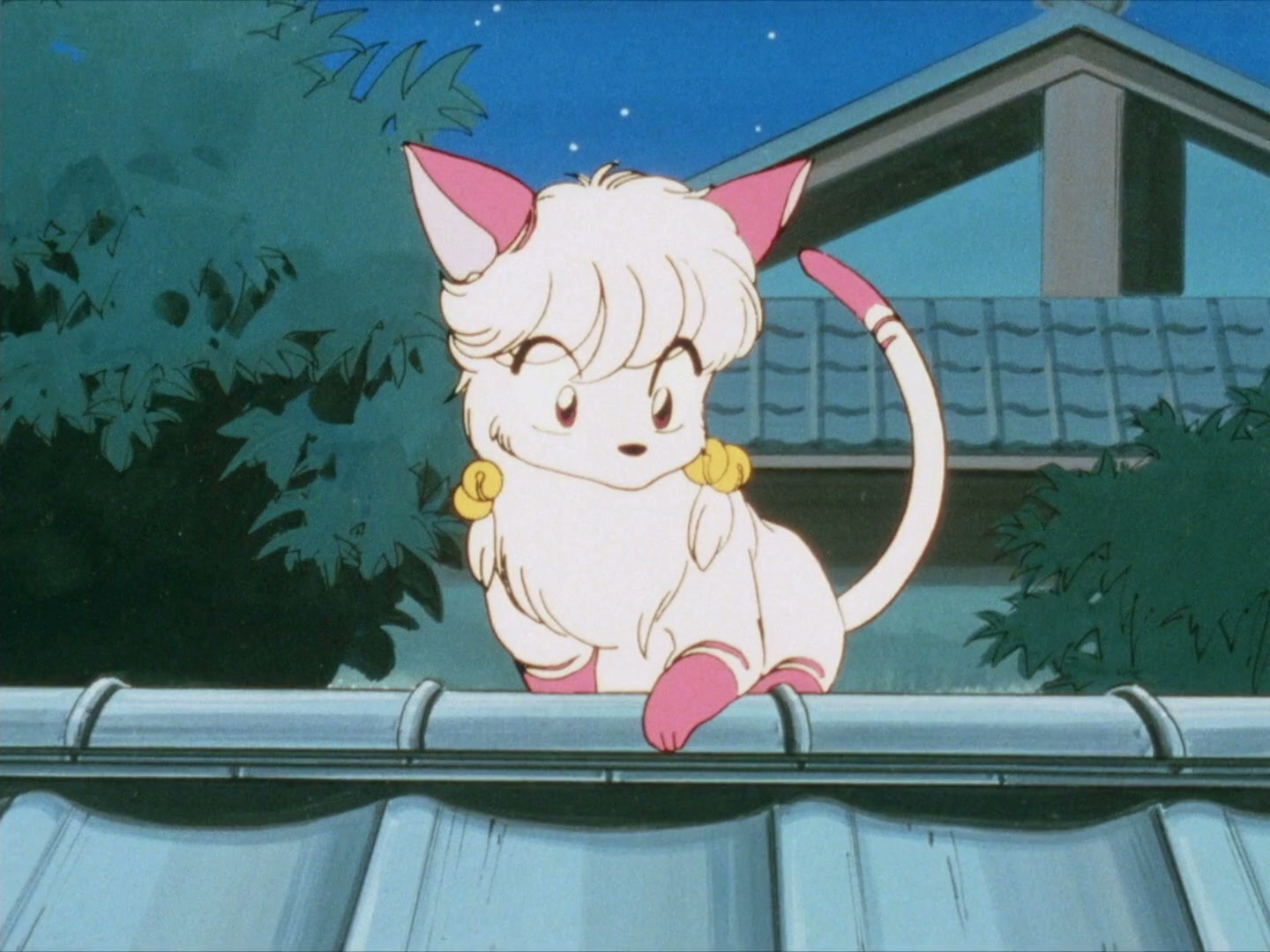 Ranma ½ Ep 24: This Ol' Gal's the Leader of the Amazon Tribe! @ 00:05:51