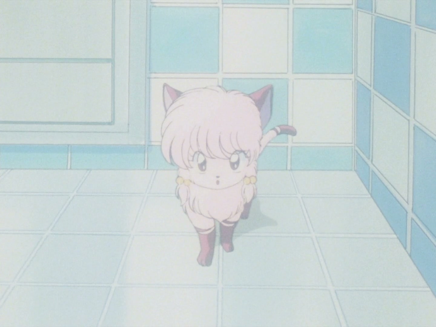 Ranma ½ Ep 24: This Ol' Gal's the Leader of the Amazon Tribe! @ 00:08:07