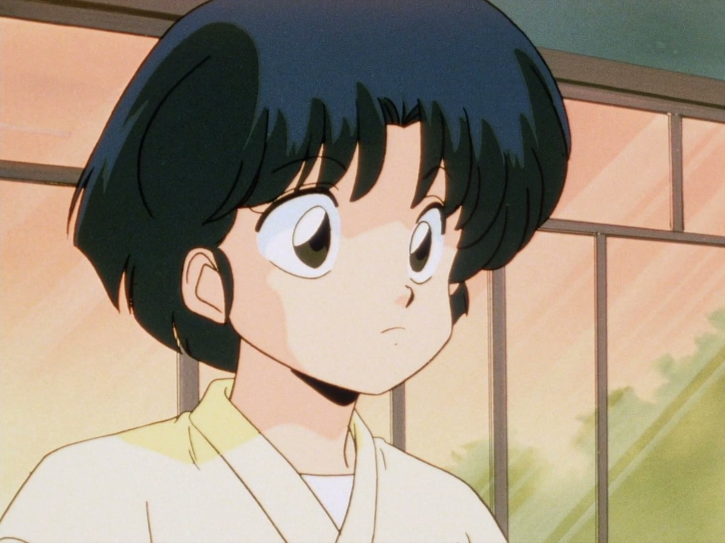 Ranma ½ Ep 28: Danger at the Tendo Dojo! @ 00:04:39