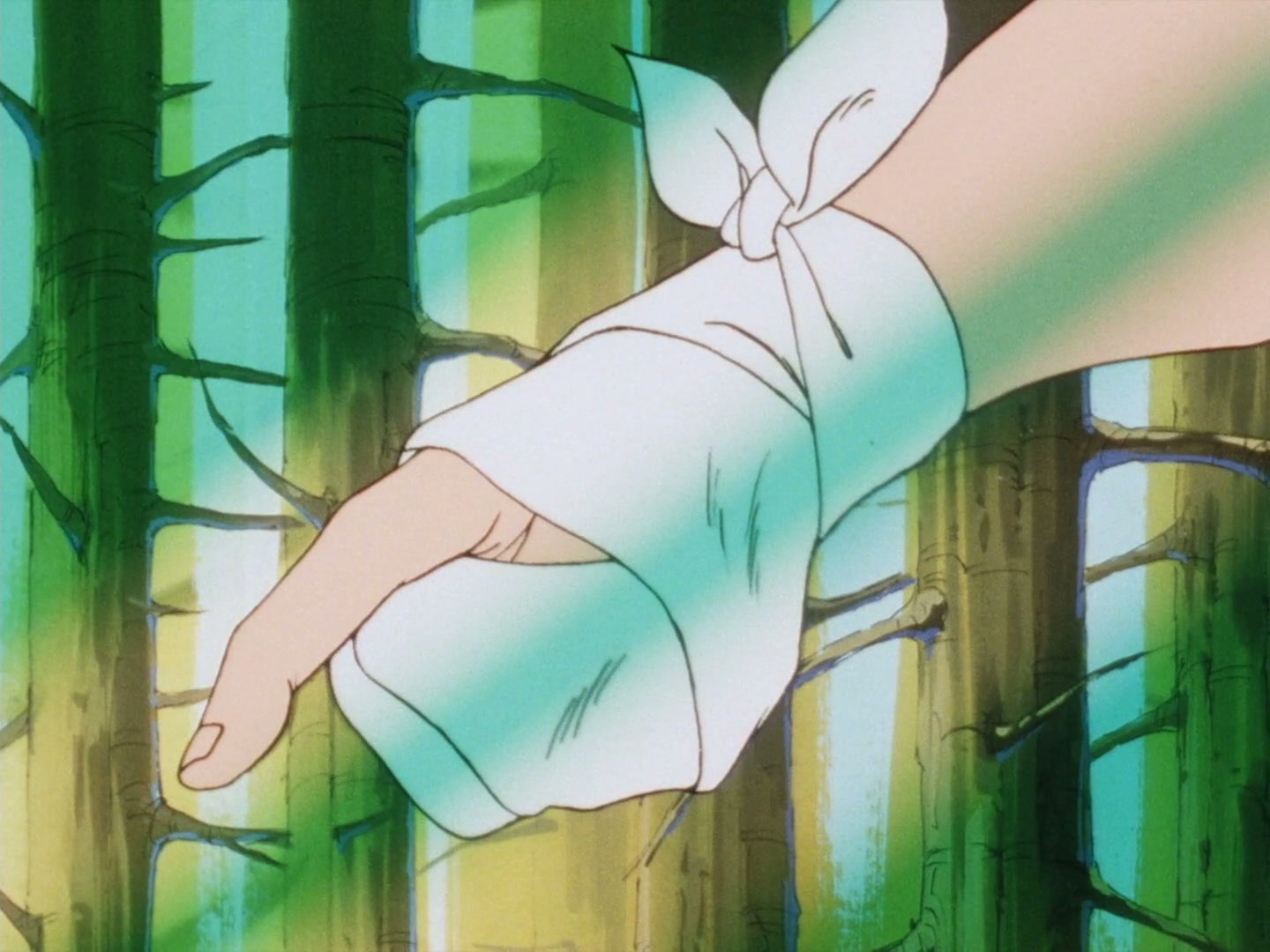 Ranma ½ Ep 30: The Breaking Point!? Ryoga's Great Revenge @ 00:03:25