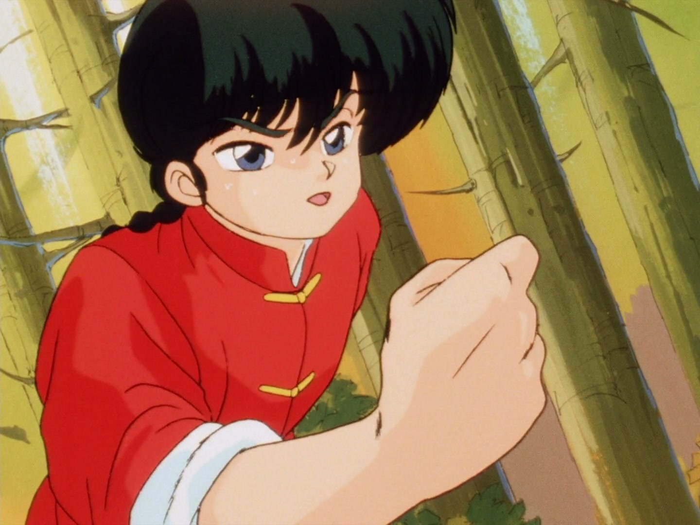 Ranma ½ Ep 30: The Breaking Point!? Ryoga's Great Revenge @ 00:17:31