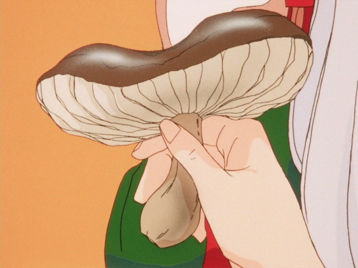 Ranma ½ Ep 43: Sneeze Me, Squeeze Me, Please Me! Shampoo's Recipe For Disaster @ 00:04:26
