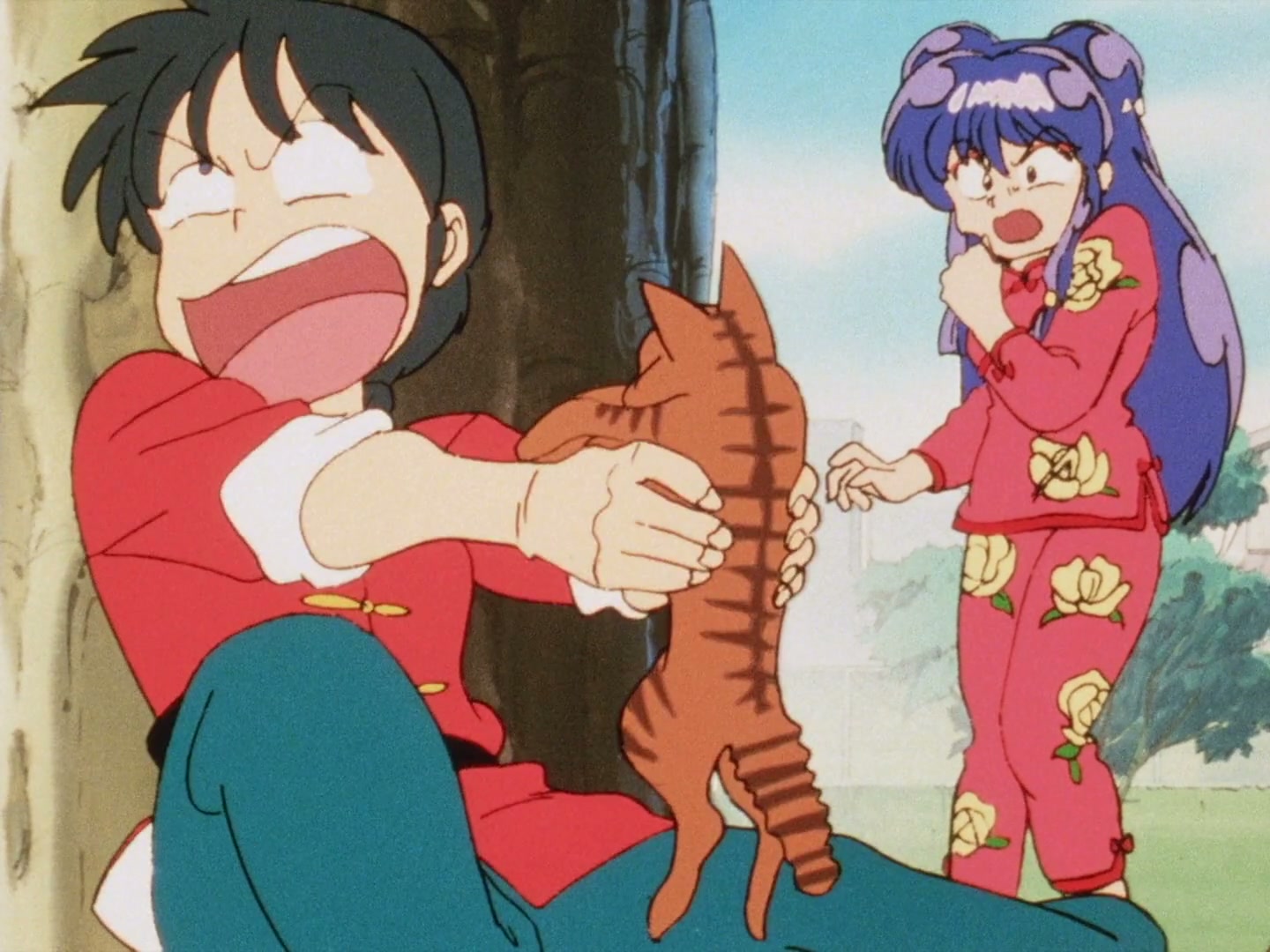 Ranma ½ Ep 43: Sneeze Me, Squeeze Me, Please Me! Shampoo's Recipe For Disaster @ 00:06:50