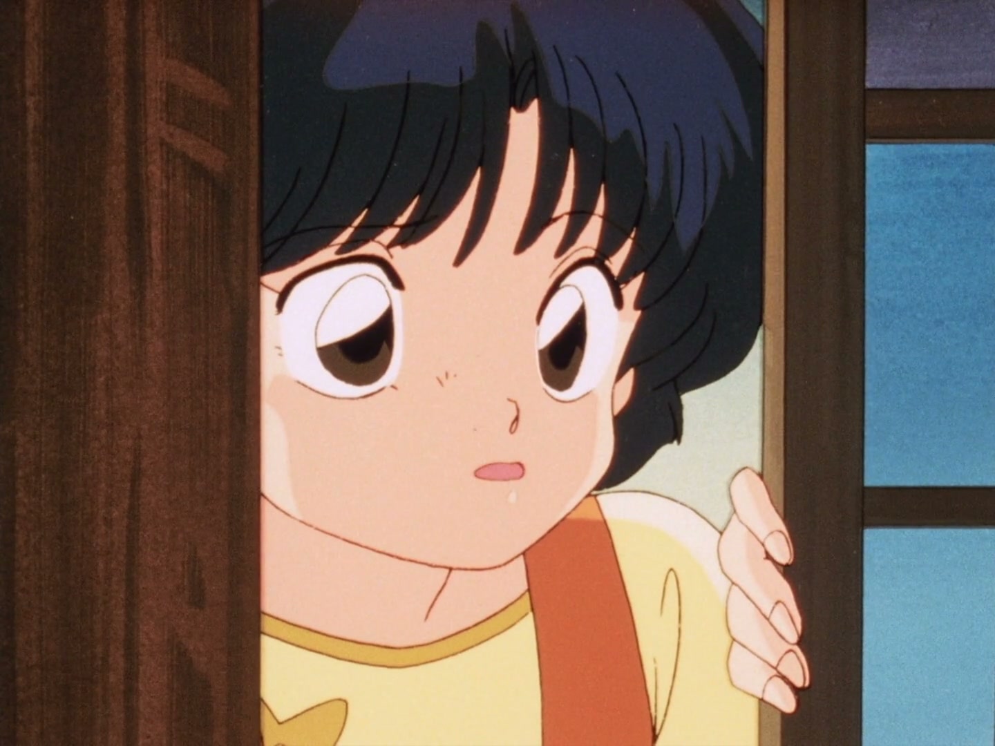 Ranma ½ Ep 43: Sneeze Me, Squeeze Me, Please Me! Shampoo's Recipe For Disaster @ 00:12:15