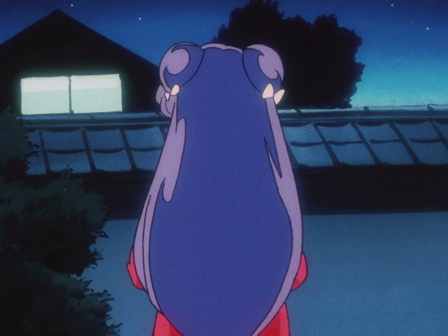 Ranma ½ Ep 72: My Fiancé, the Cat @ 00:17:19