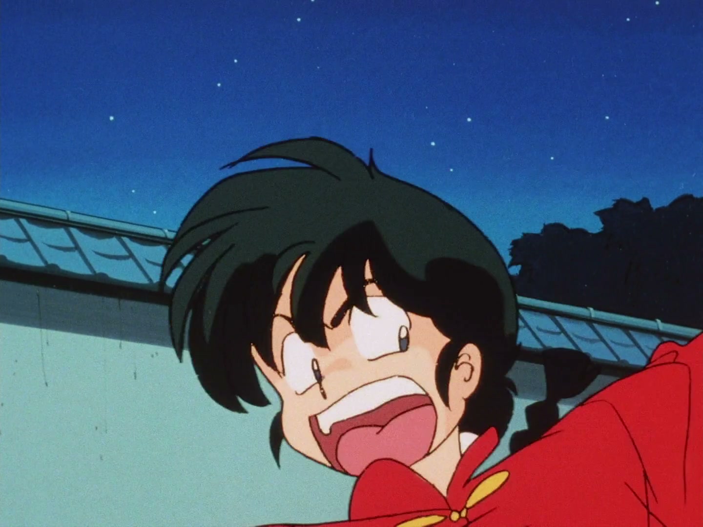 Ranma ½ Ep 72: My Fiancé, the Cat @ 00:17:31
