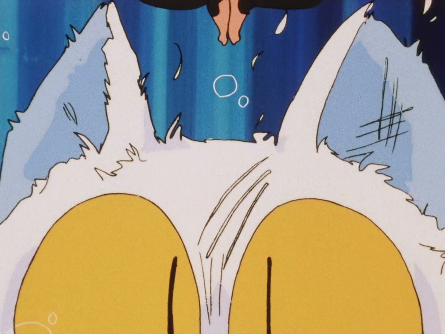 Ranma ½ Ep 72: My Fiancé, the Cat @ 00:18:45