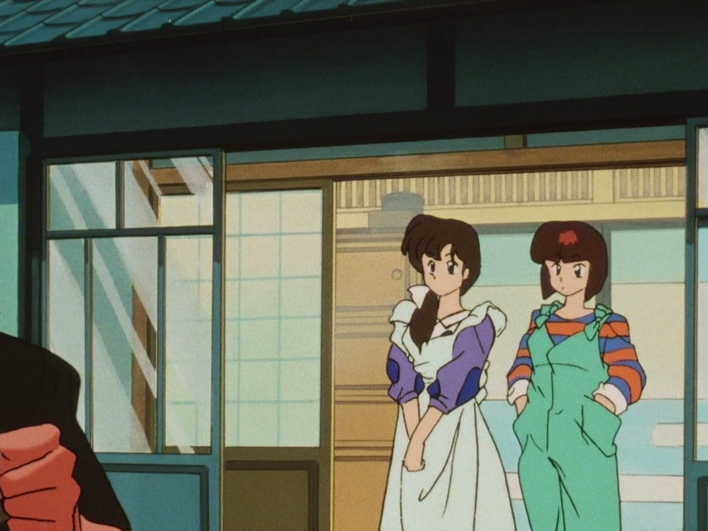 Ranma ½ Ep 72: My Fiancé, the Cat @ 00:18:54