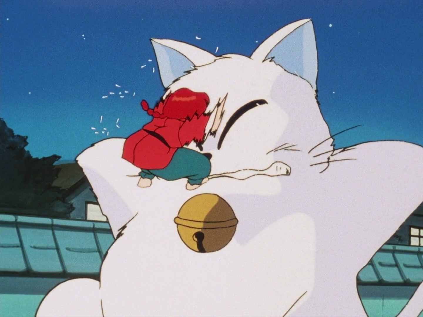 Ranma ½ Ep 72: My Fiancé, the Cat @ 00:19:14