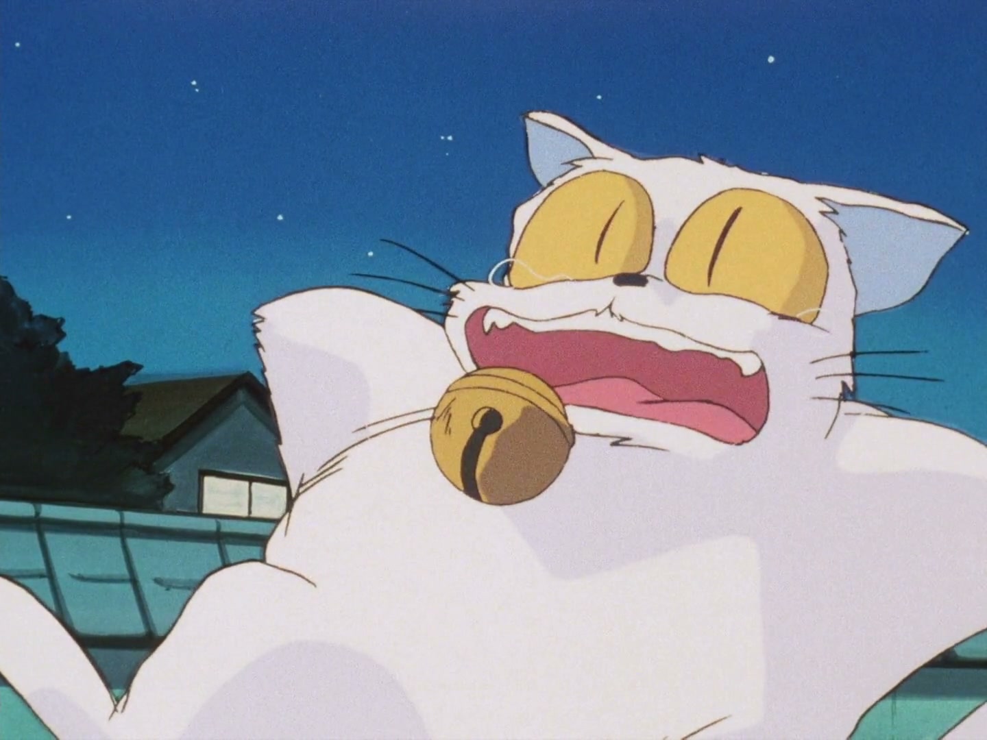 Ranma ½ Ep 72: My Fiancé, the Cat @ 00:19:18