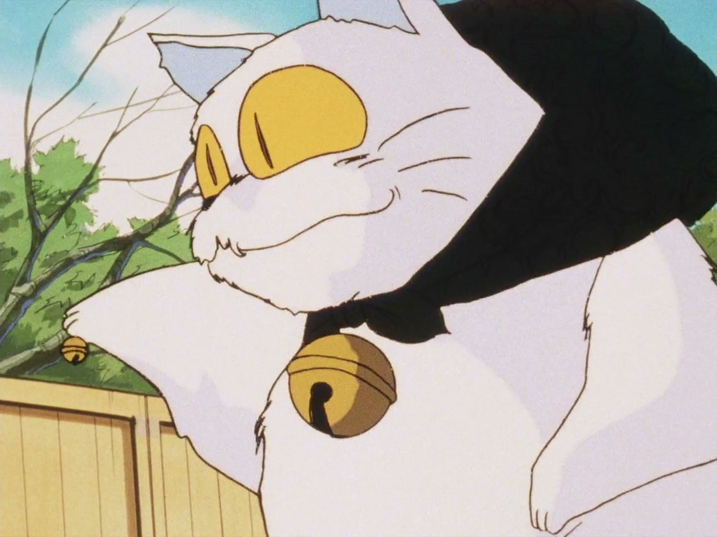 Ranma ½ Ep 72: My Fiancé, the Cat @ 00:21:01