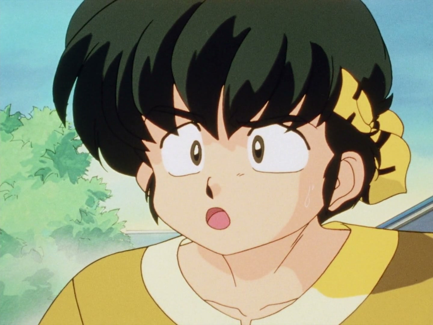 Ranma ½ Ep 80: Close Call! P-chan's Secret @ 00:07:40