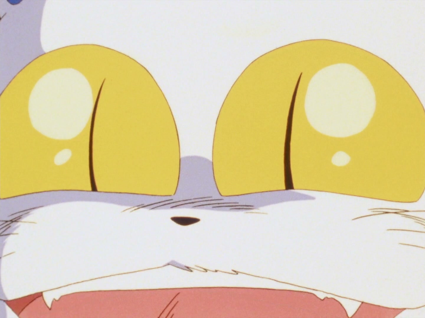 Ranma ½ Ep 91: Ryoga's Proposal @ 00:04:31