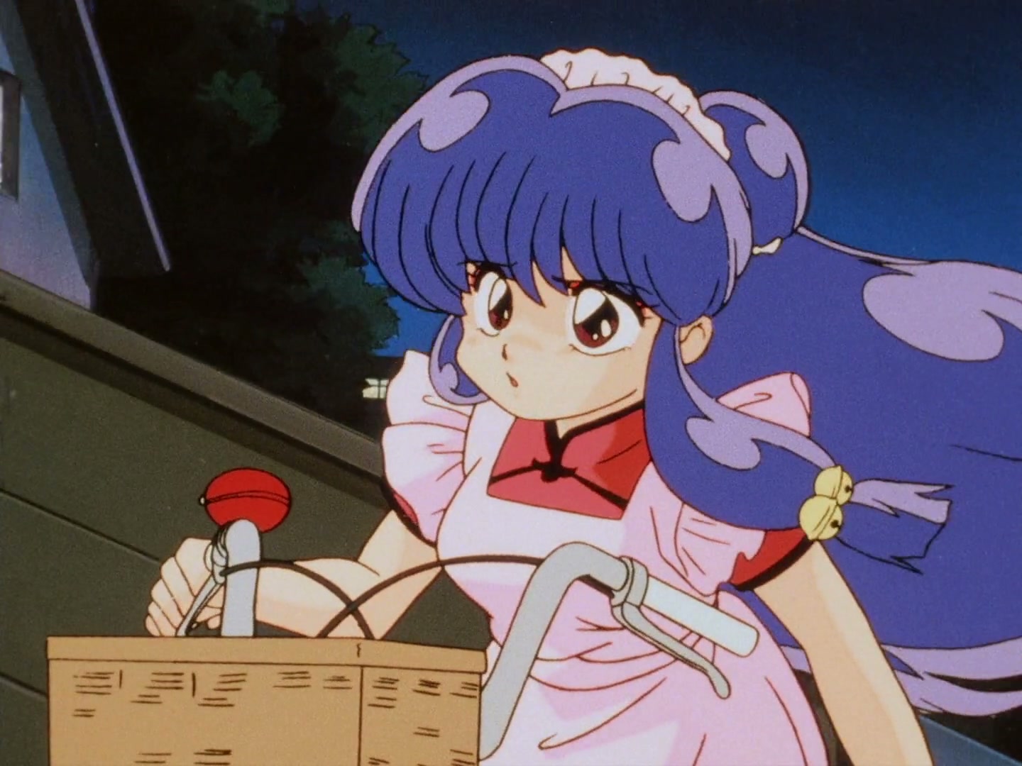 Ranma ½ Ep 100: The Frogman's Curse! @ 00:04:55