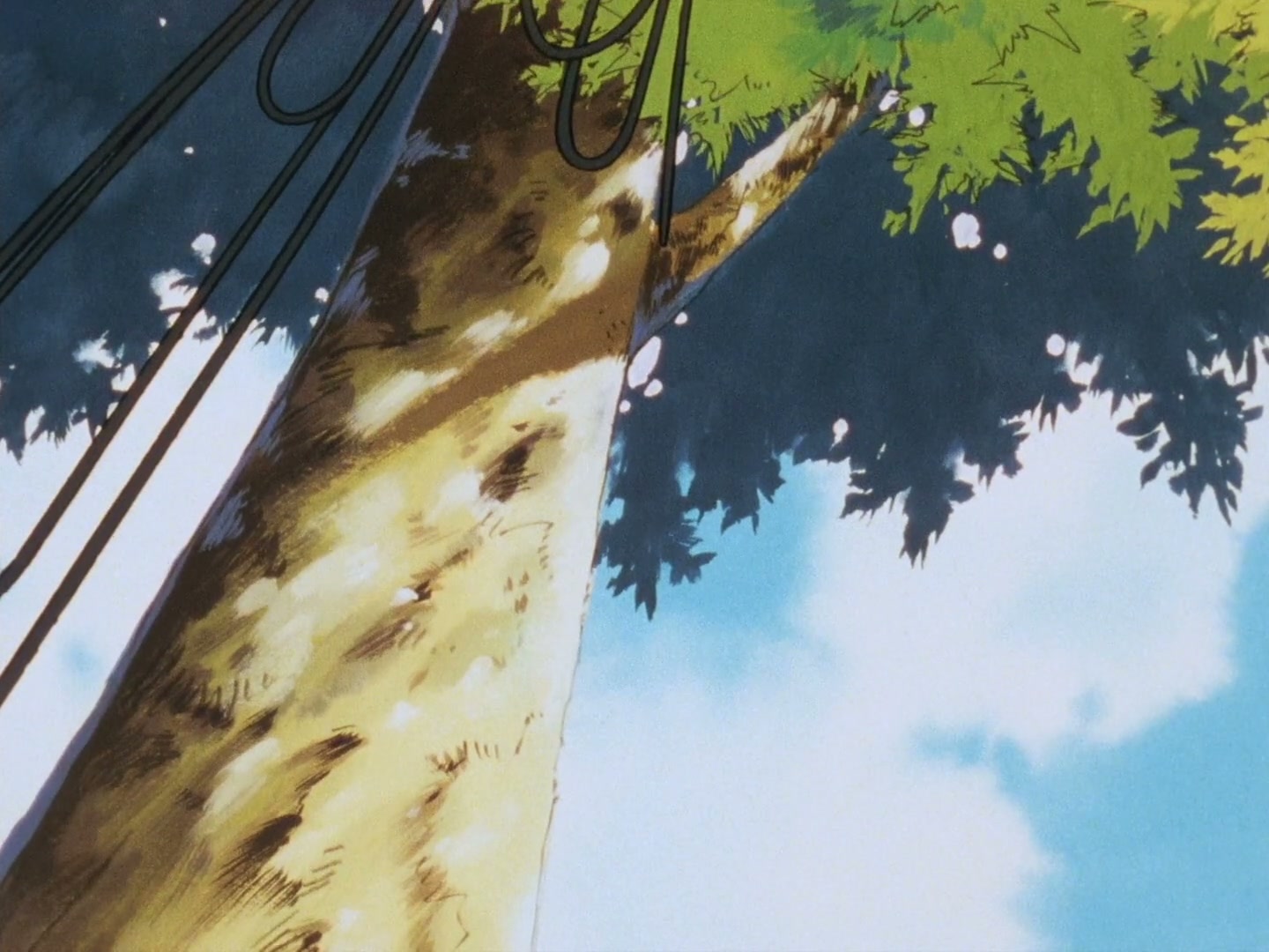 Ranma ½ Ep 116: The Secret Don of Furinkan High @ 00:10:16