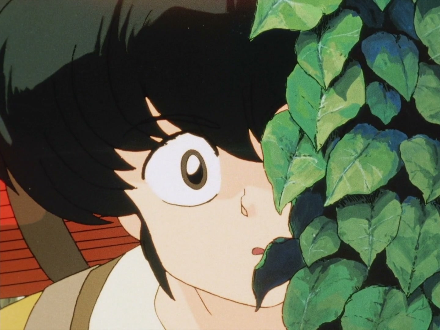 Ranma ½ Ep 118: Ryoga Inherits the Saotome School!? @ 00:06:13
