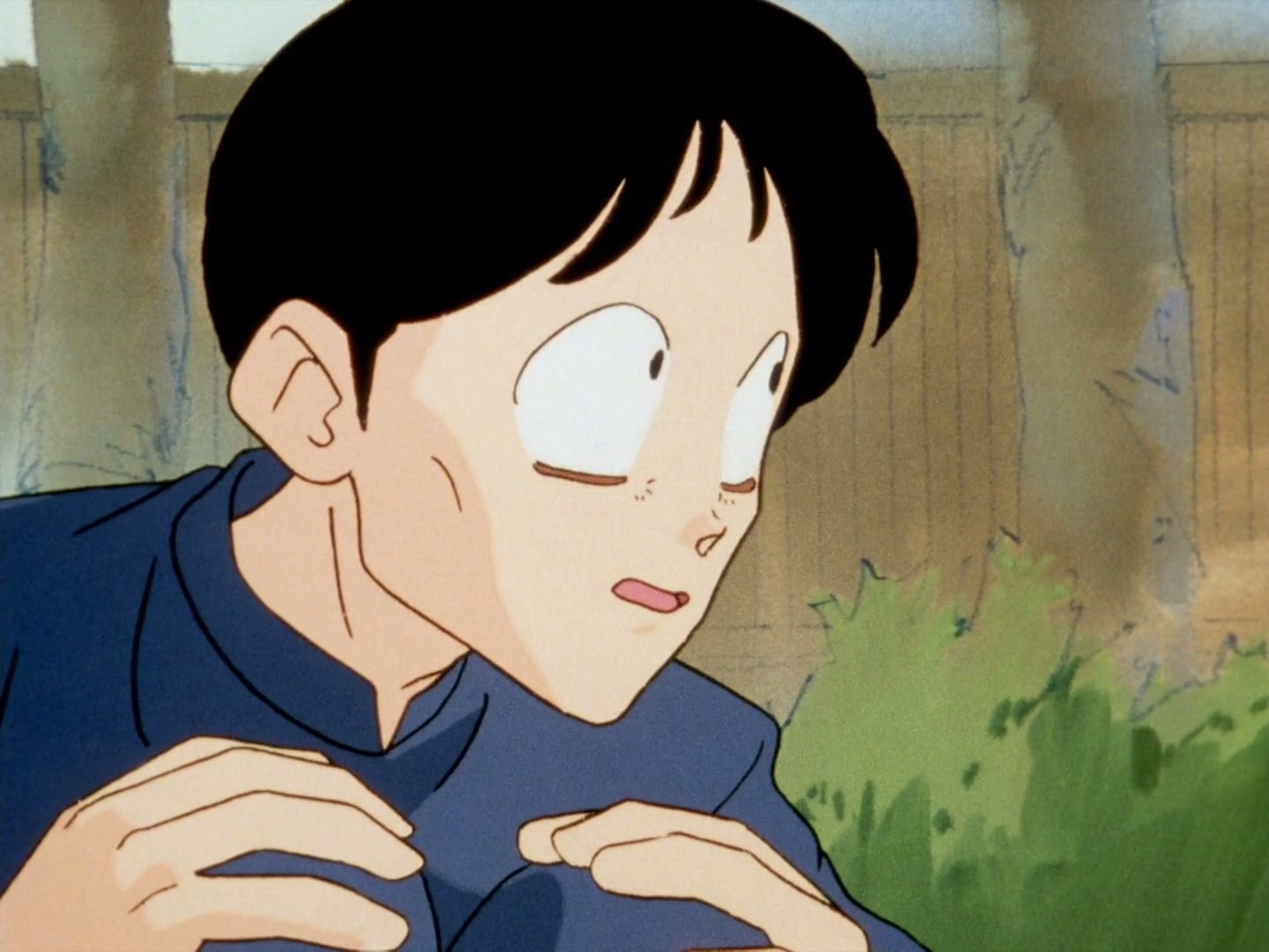 Ranma ½ Ep 134: Akane's Unfathomable Heart @ 00:02:02