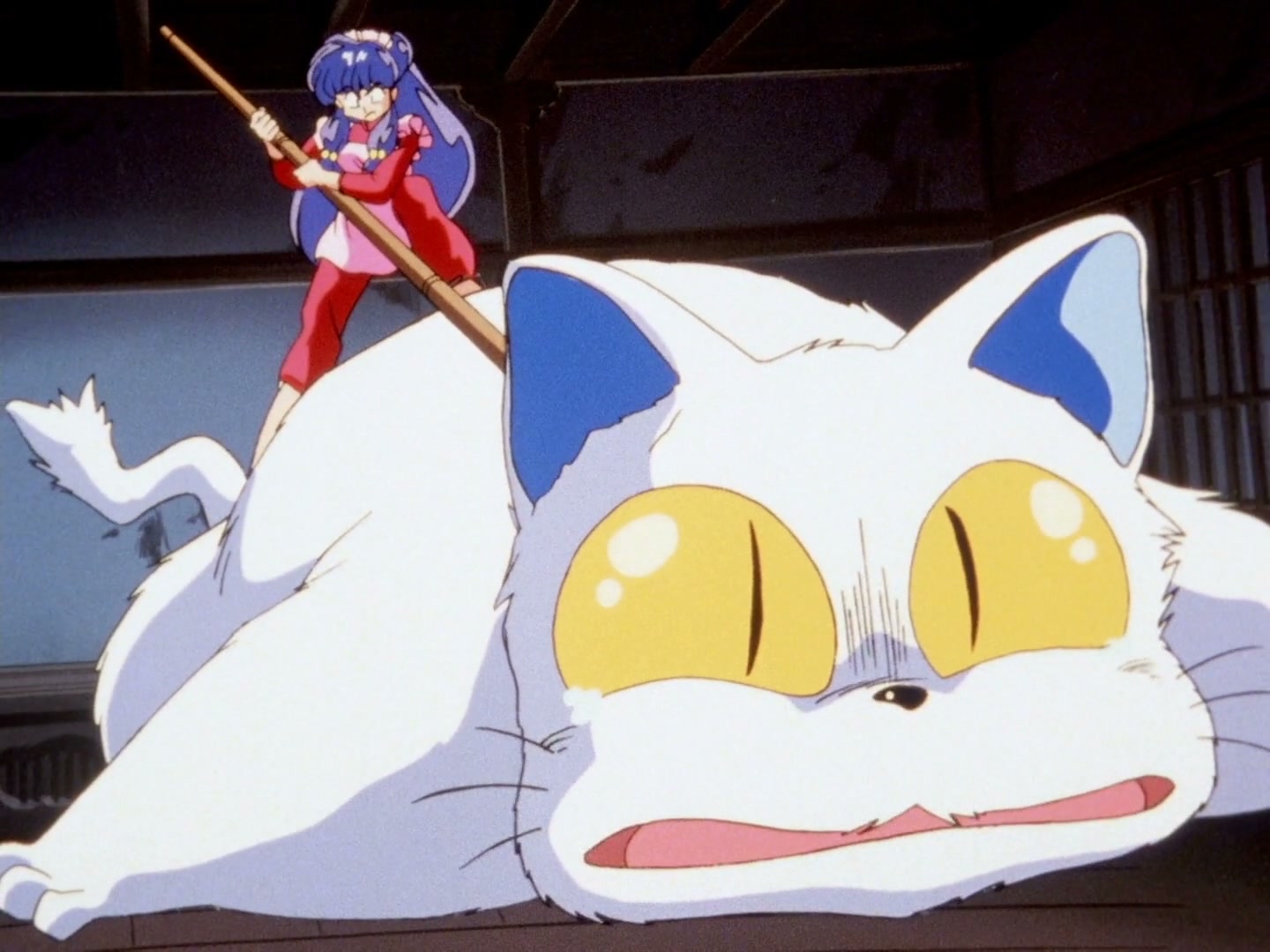 Ranma ½ Ep 143: Shampoo's Cursed Kiss @ 00:06:55