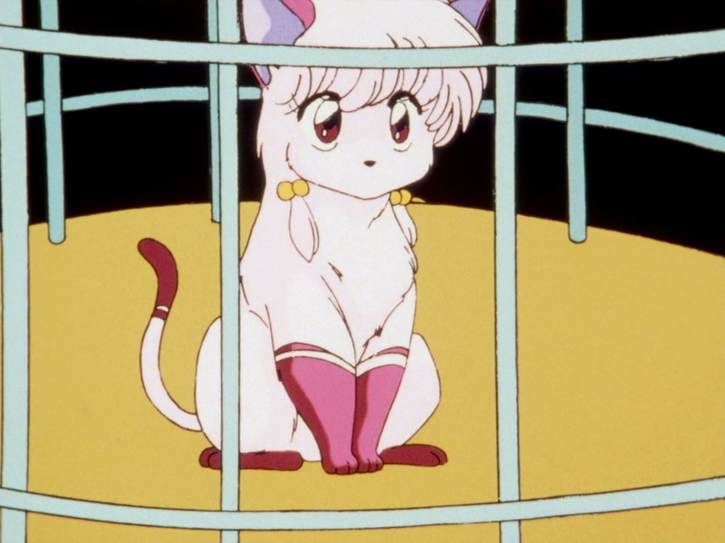 Ranma ½ Ep 143: Shampoo's Cursed Kiss @ 00:10:57