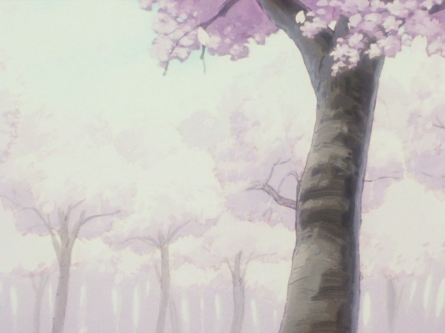 Ranma ½ Ep 144: Run Away With Me, Ranma! @ 00:04:55