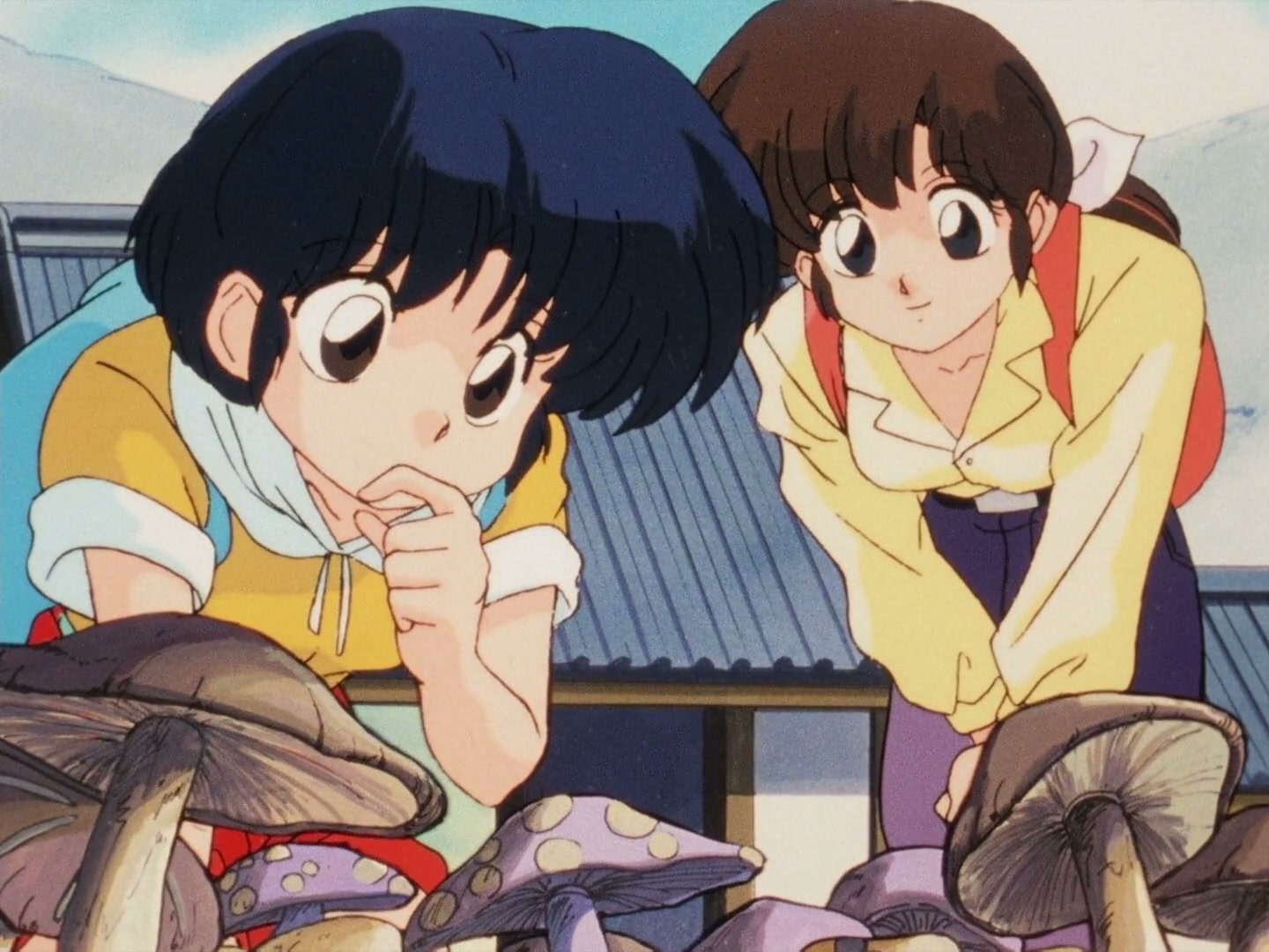 Ranma ½ Ep 145: Let's Go to the Mushroom Temple @ 00:03:57