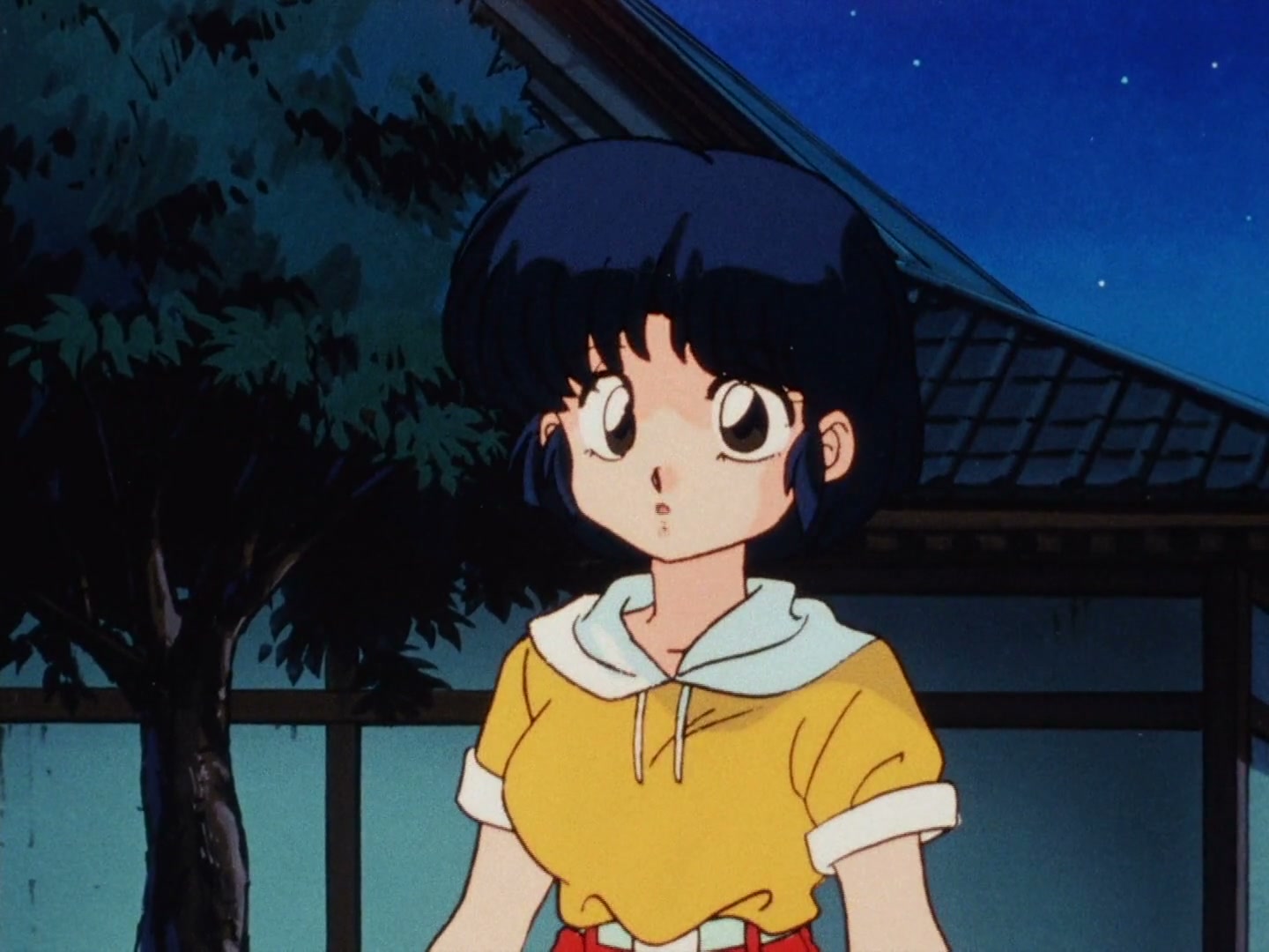 Ranma ½ Ep 145: Let's Go to the Mushroom Temple @ 00:05:28