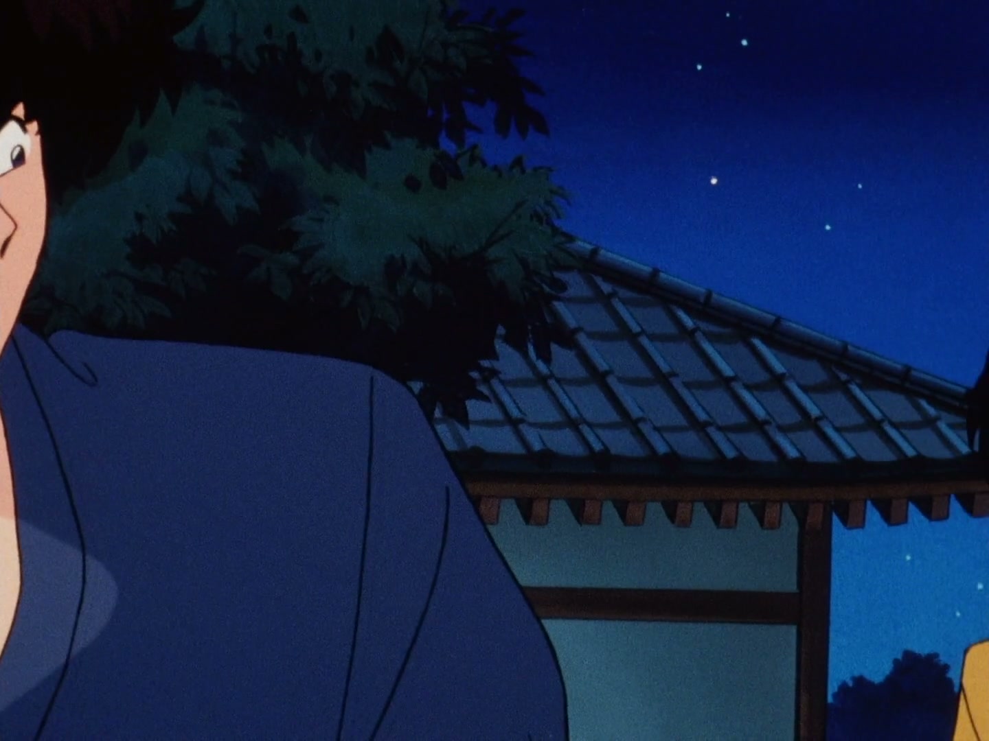 Ranma ½ Ep 145: Let's Go to the Mushroom Temple @ 00:07:11