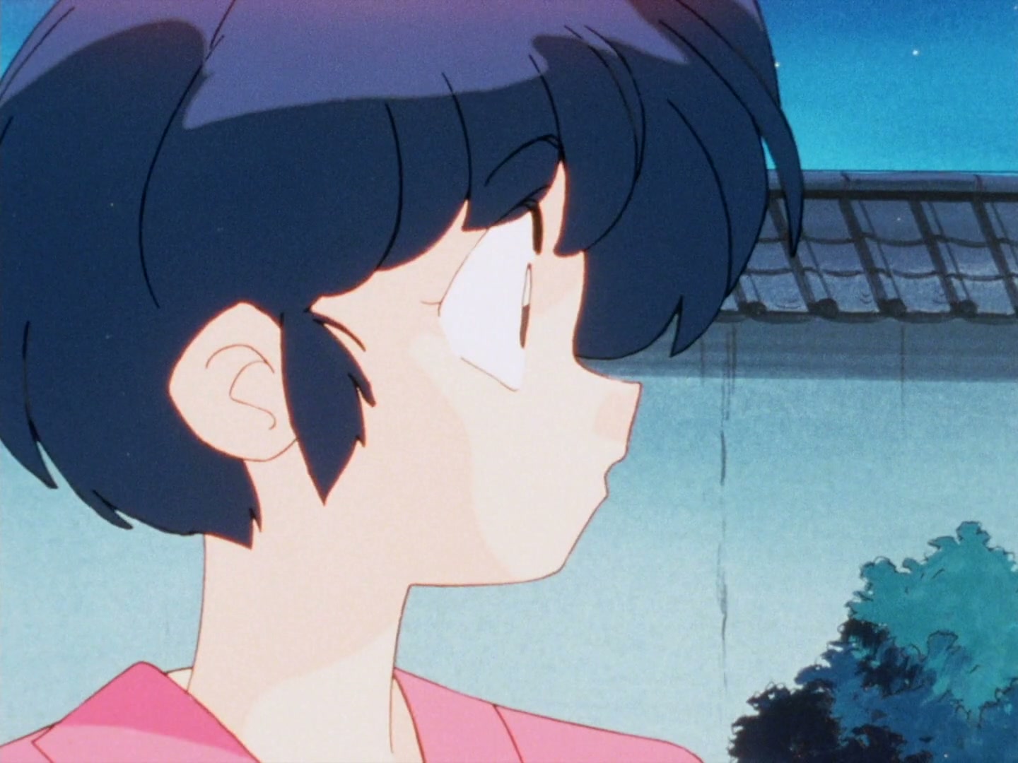 Ranma ½ Ep 153: Gosunkugi's Summer Affair @ 00:03:29