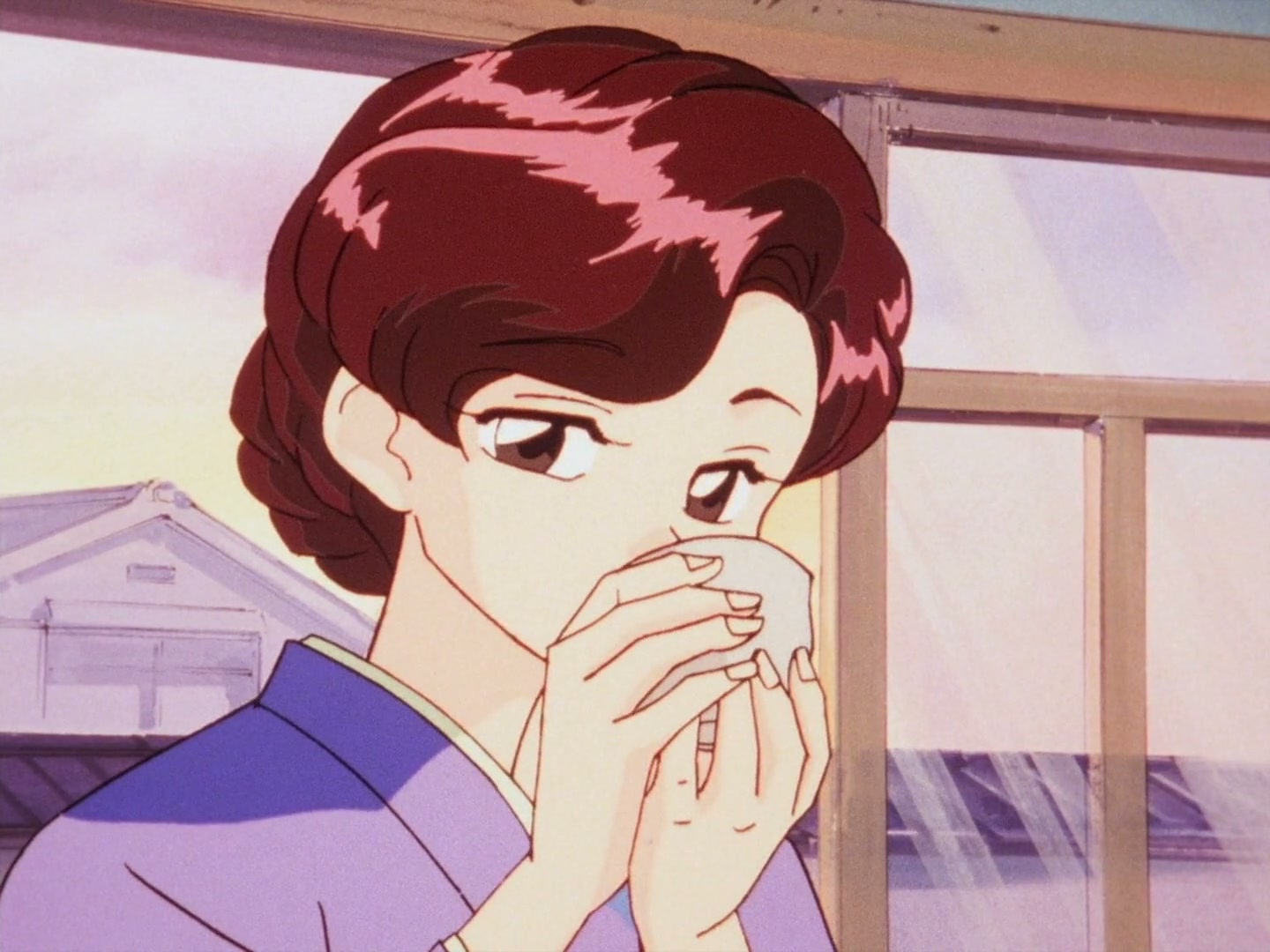 Ranma ½ Ep 160: Boy Meets Mom (Part 1) @ 00:13:00