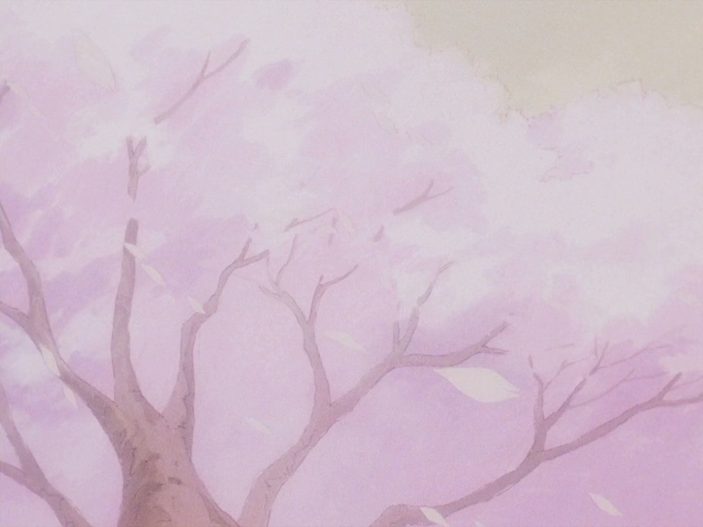 Ranma ½ Ep 160: Boy Meets Mom (Part 1) @ 00:17:52