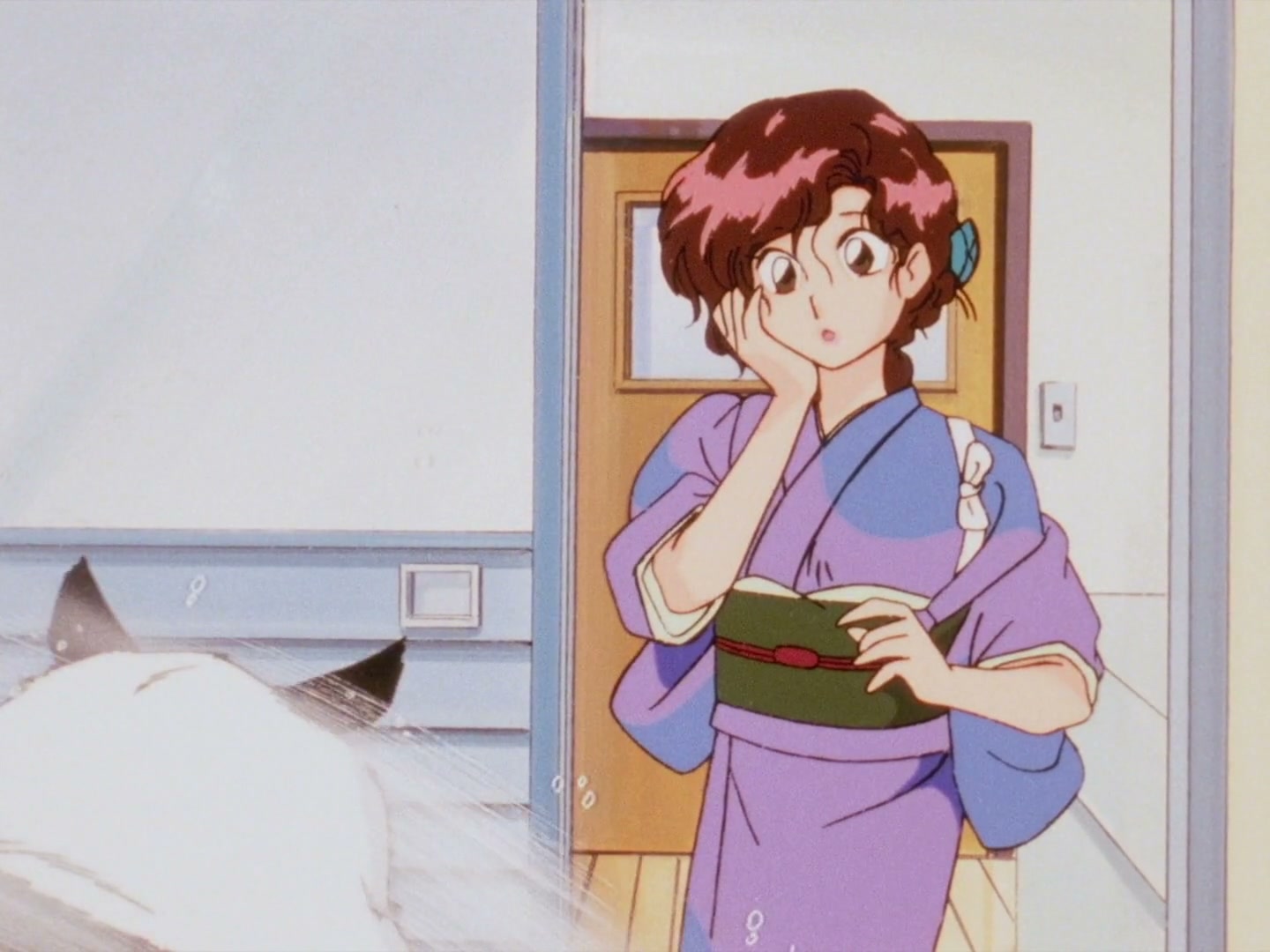Ranma ½ Ep 160: Boy Meets Mom (Part 1) @ 00:21:09
