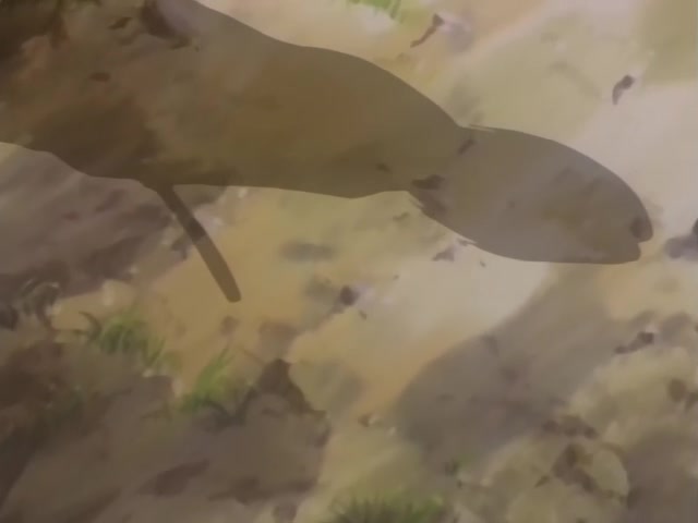 Rurouni Kenshin Ep 62: Kyoto, the Engraved Memory @ 05:04