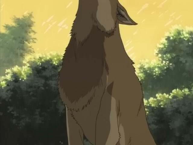 Wolf's Rain Ep 2: Toboe, Who Doesn't Howl @ 00:17:05