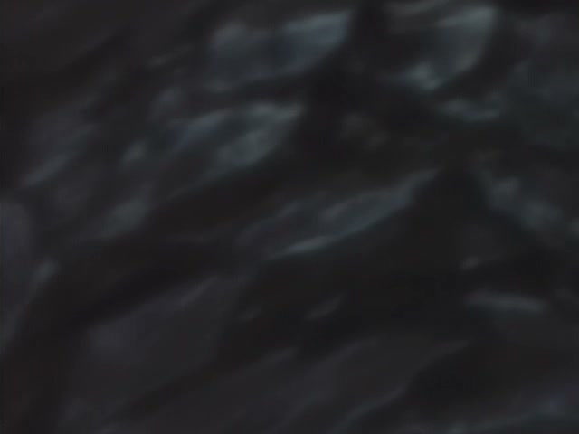 Wolf's Rain Ep 4: Scars in the Wasteland @ 00:15:05
