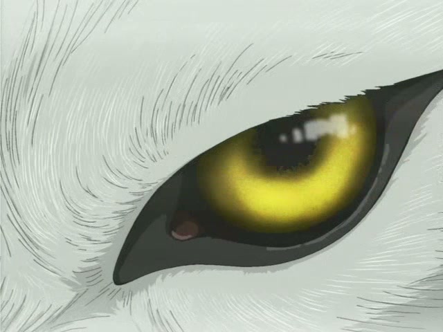 Wolf's Rain Ep 7: The Flower Maiden @ 00:03:54