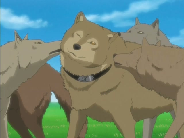 Wolf's Rain Ep 8: Song of Sleep @ 00:06:40