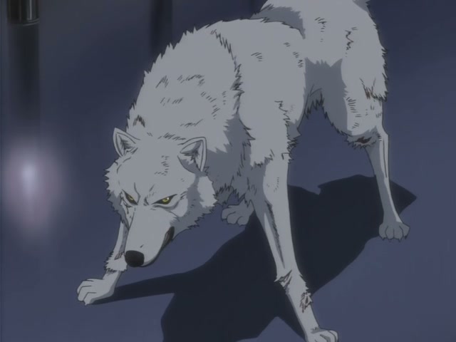 Wolf's Rain Ep 14: The Fallen Keep @ 00:14:38