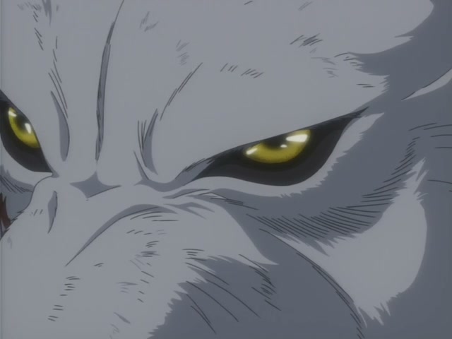 Wolf's Rain Ep 14: The Fallen Keep @ 00:15:33
