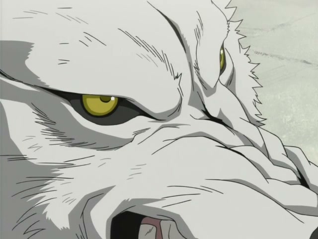 Wolf's Rain Ep 15: Grey Wolf @ 00:06:21