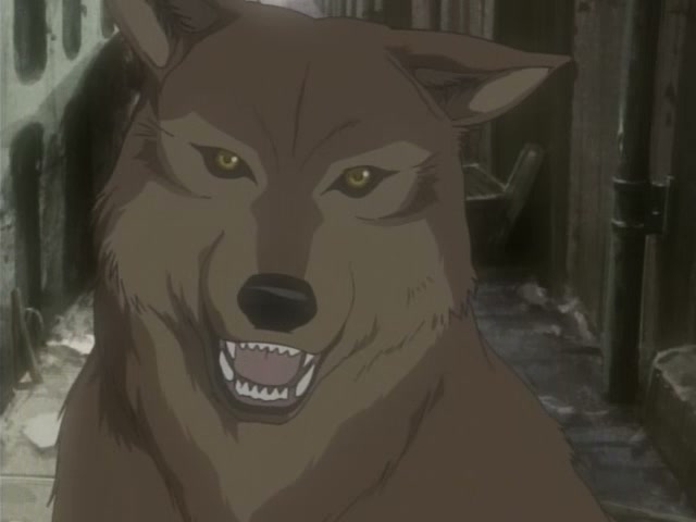 Wolf's Rain Ep 15: Grey Wolf @ 00:11:29