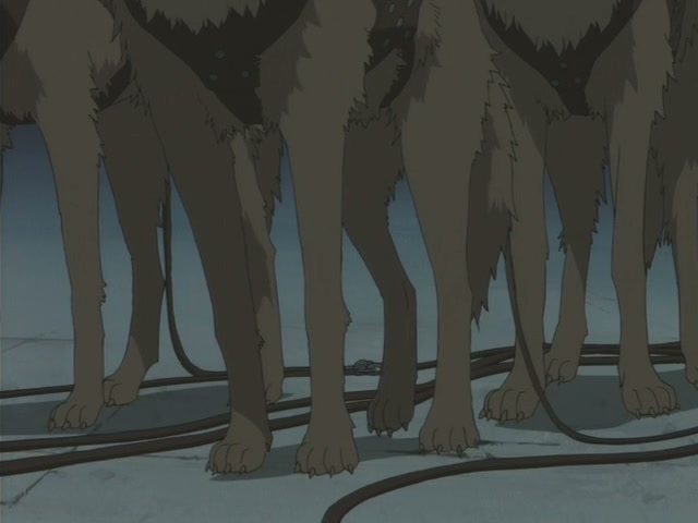 Wolf's Rain Ep 16: Dream Journey @ 00:13:15