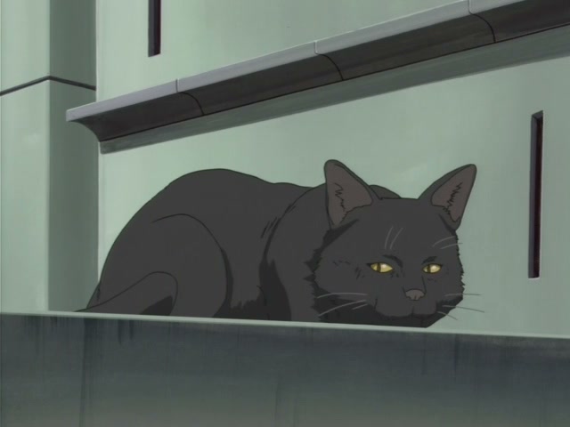 Wolf's Rain Ep 24: Scent of a Trap @ 00:06:44