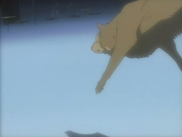Wolf's Rain Ep 26: Moonlight Crucible @ 00:20:12
