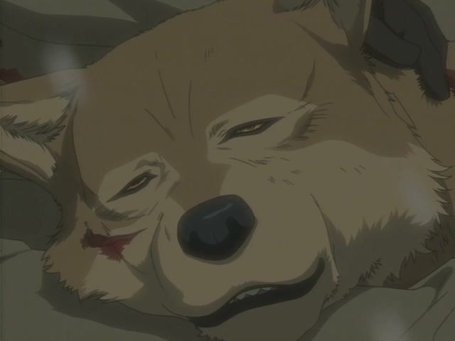 Wolf's Rain Ep 29: High Tide, High Time @ 00:03:31