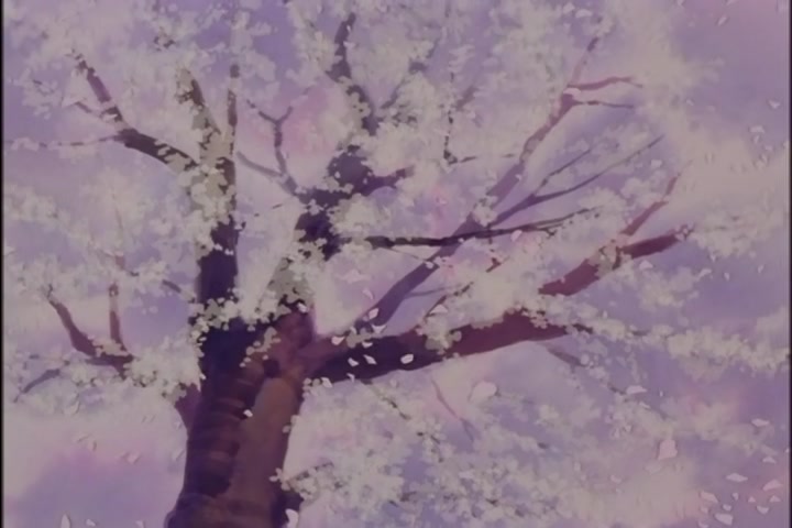 Ah! My Goddess (1993 OVA) Ep 5: For the Love of Goddess @ 14:50